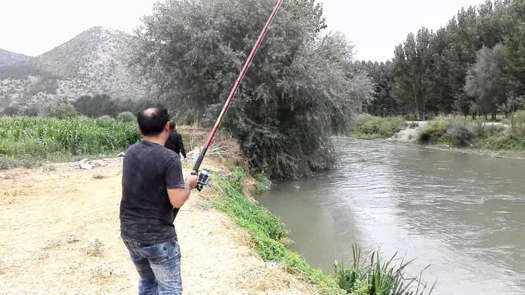 Sportif Olta Balıkçılığı